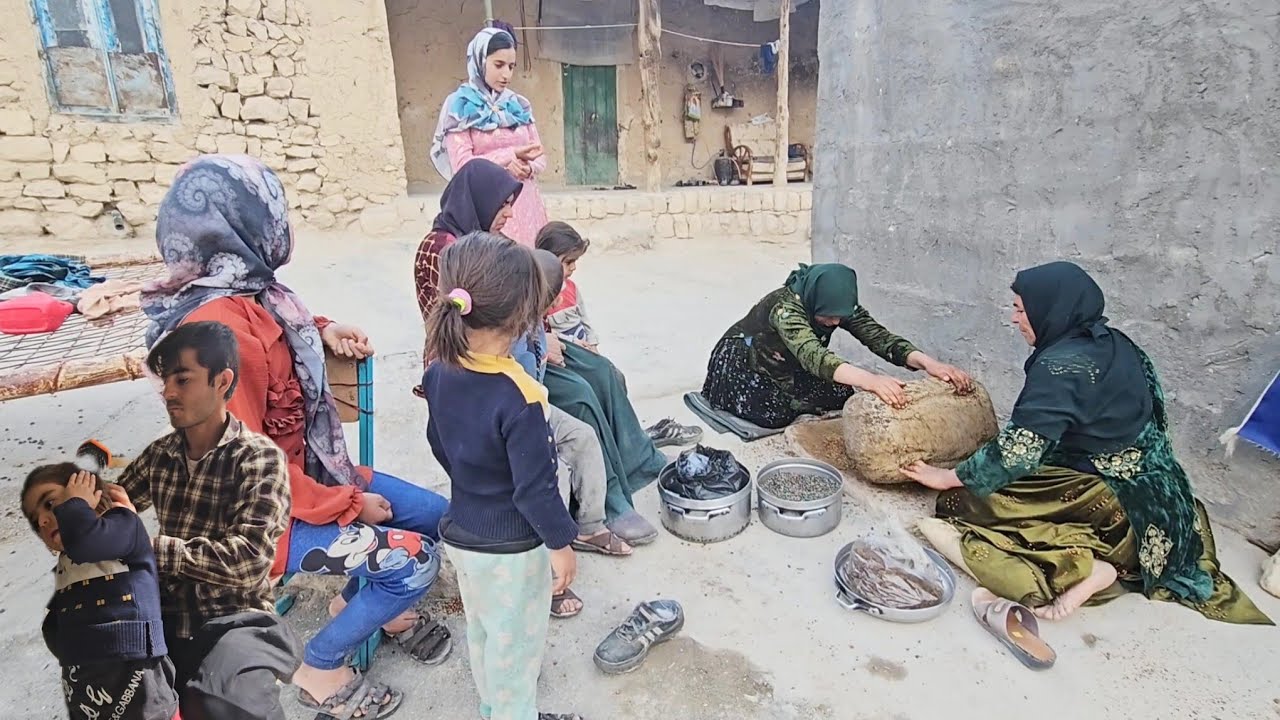 Ancient Mountain Secrets: Grinding Wild Pistachios (Ban) with a Traditional Stone Mill 🪨🏔️