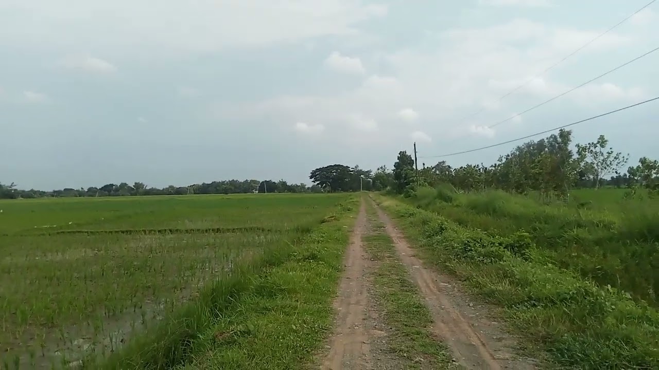 rice Field irigation talugtog Nueva ecija 10 hectare