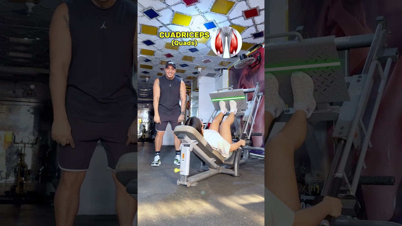 GUIA PARA PRENSA #prensa #cuadriceps #gluteos #aductores #isquiotibiales #gymgirl #gymrat #gym