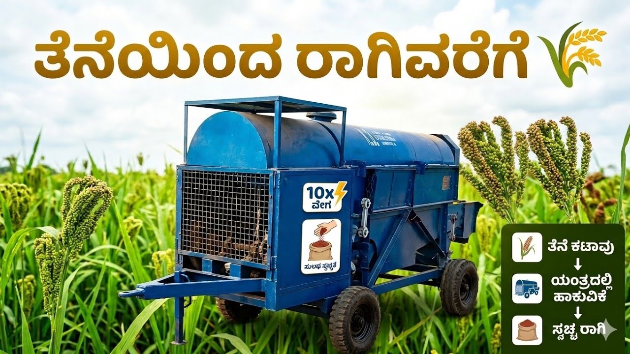 ರಾಗಿ ತೆನೆ ಮಷೀನ್‌ಗೆ ಹಾಕುವ ಕೆಲಸ 🌾 | Village Farming Work | Ragi Processing