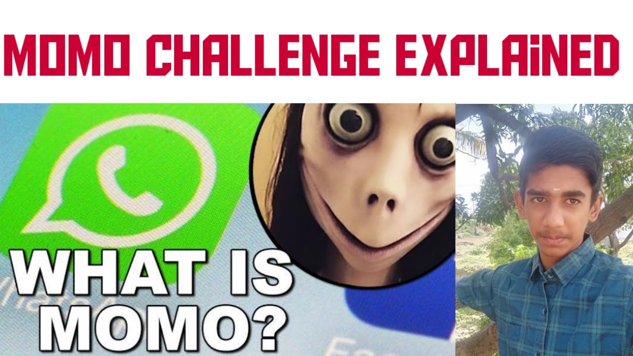 Momo challenge explained