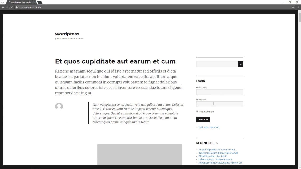 LoginPress - Login Widget