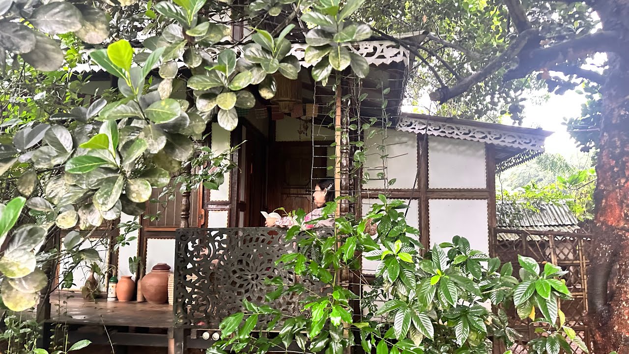 সরলবাড়ীতে আমরা (পর্ব-১)// At Shorol Bari October 2025