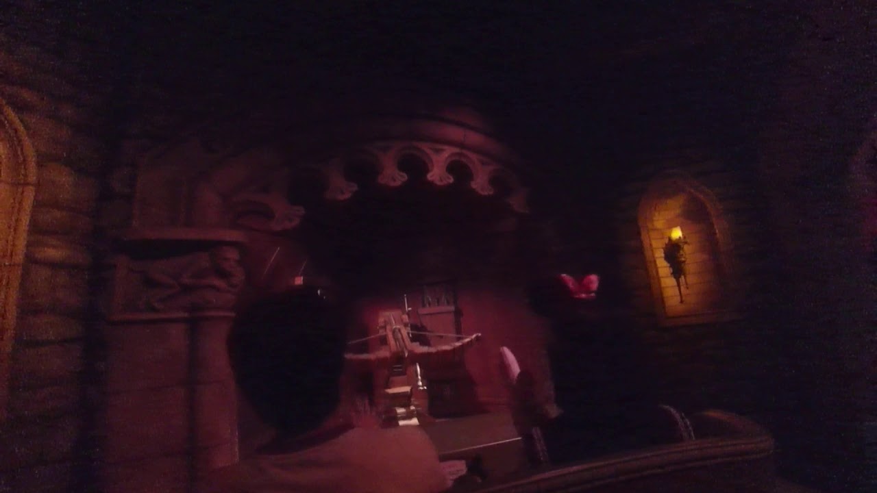 HK Disney Mystic Manor