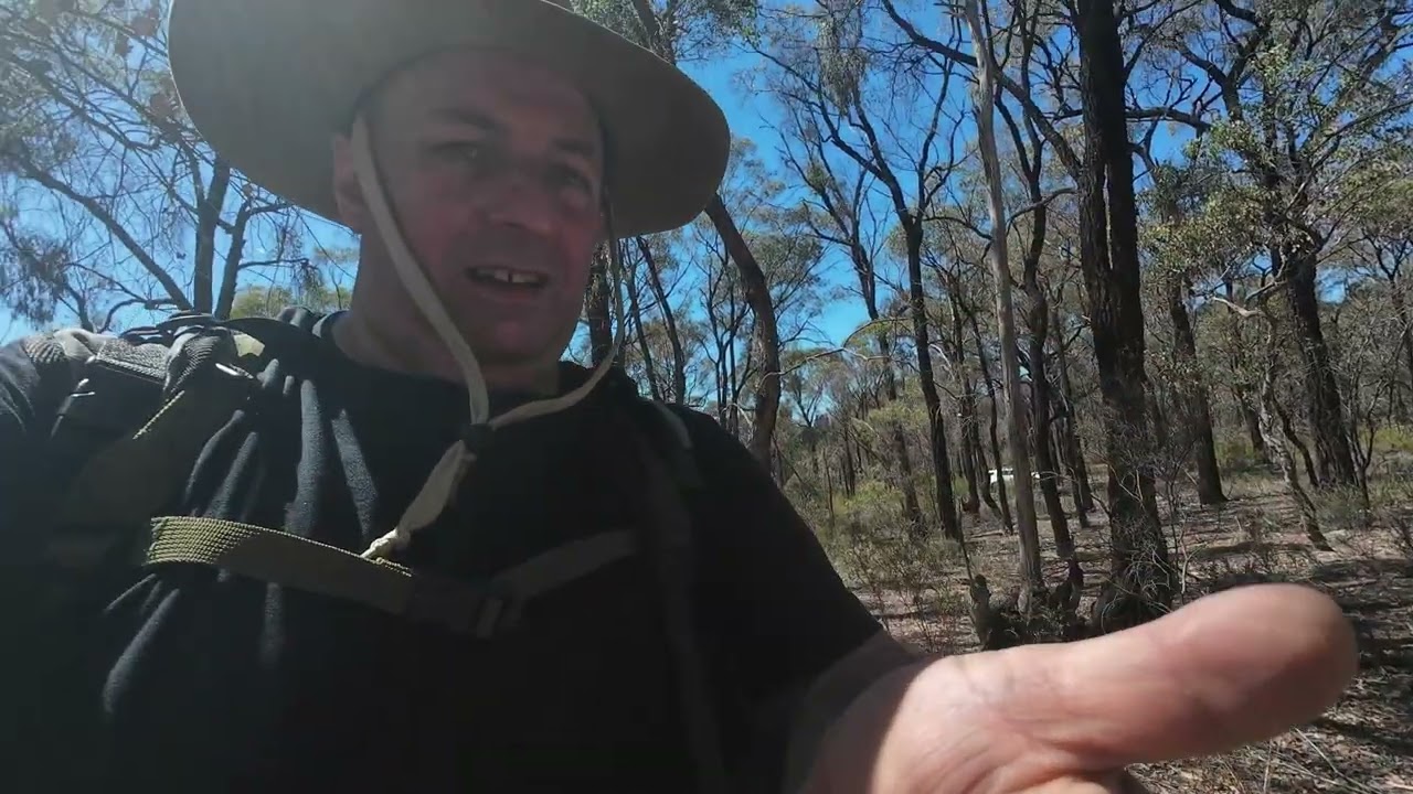 Gpx5000 Detecting near local mine (@ProspectorStorky)