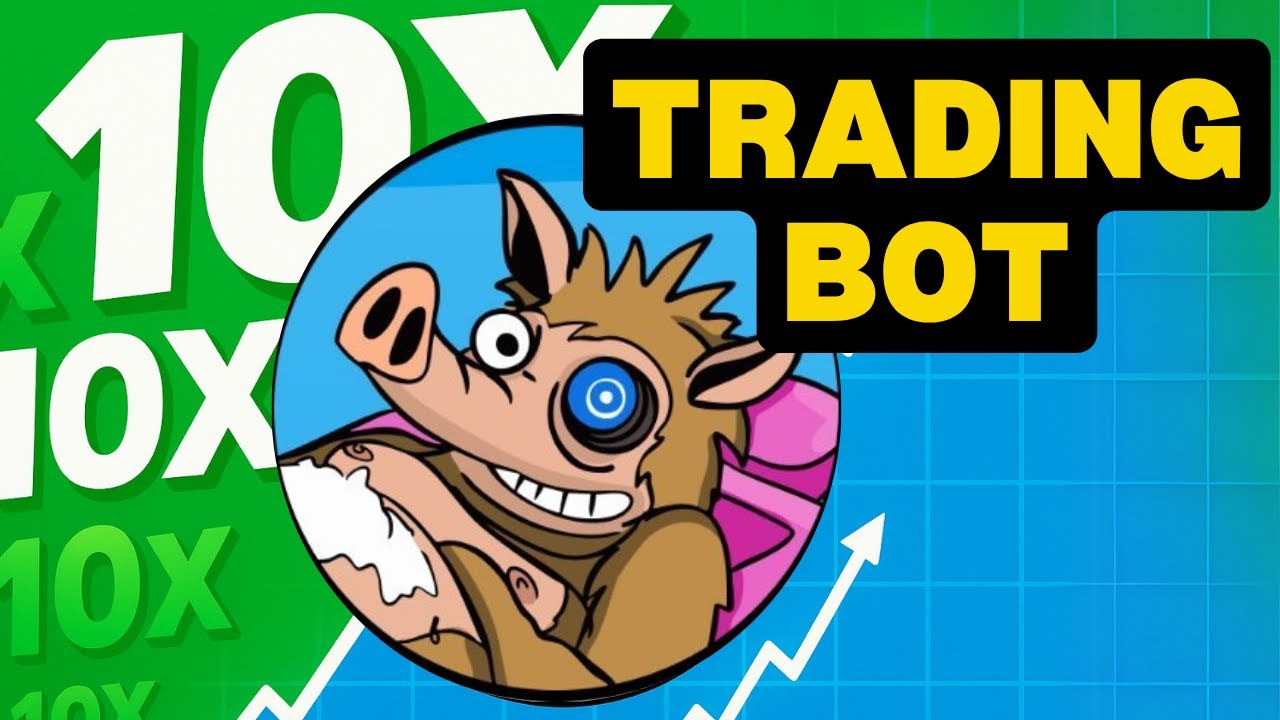 NOWY MEMECOIN 100x? Snorter Token Trading Bot na Solana | RECENZJA