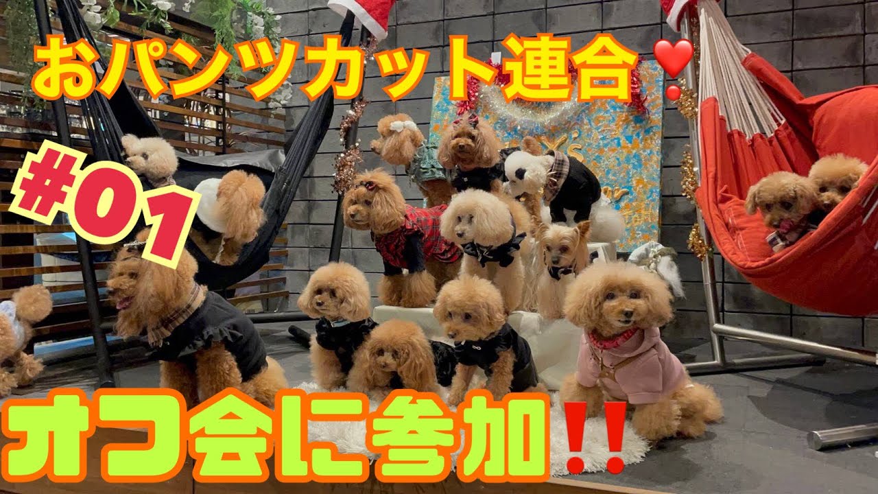 おパンツカット連合❣️オフ会❣️