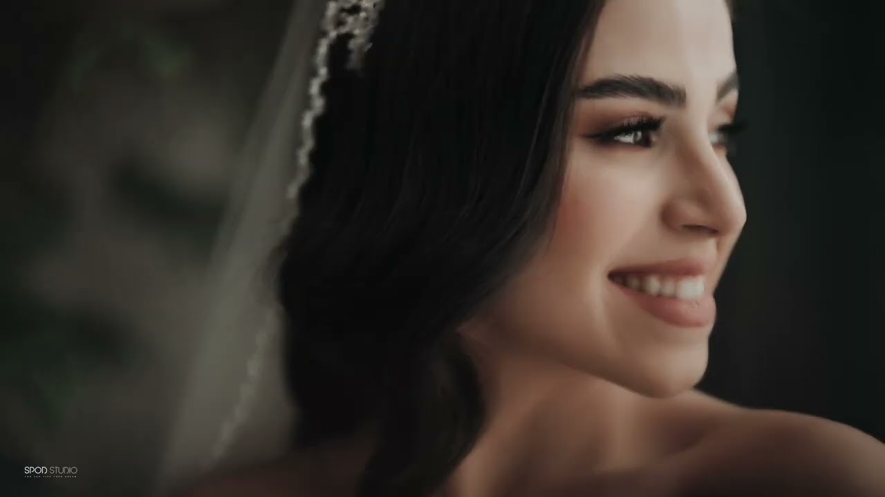 Hassan & Hasti’s Charming Wedding Celebration