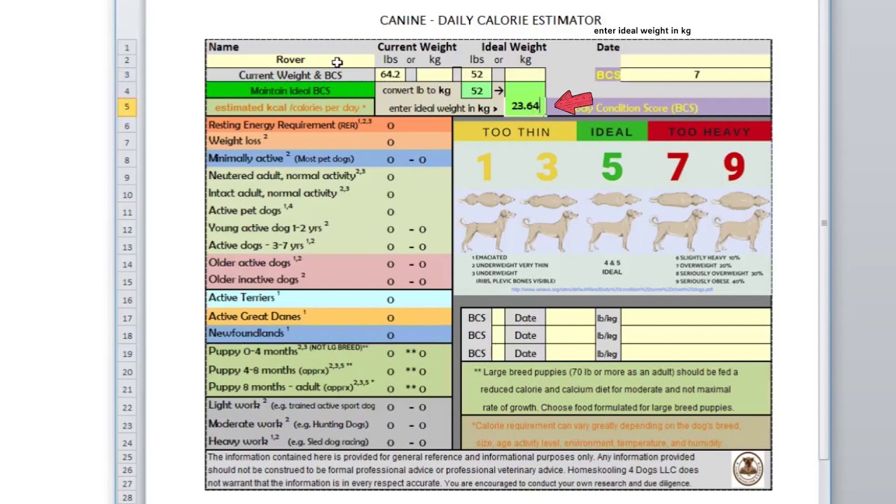 How many calories does my dog need?