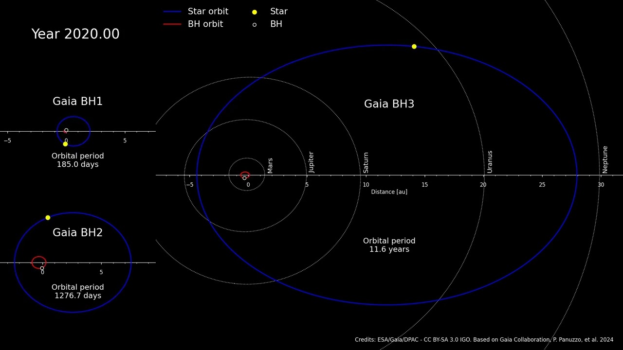 Gaia's black holes: comparison of orbits (dark version)