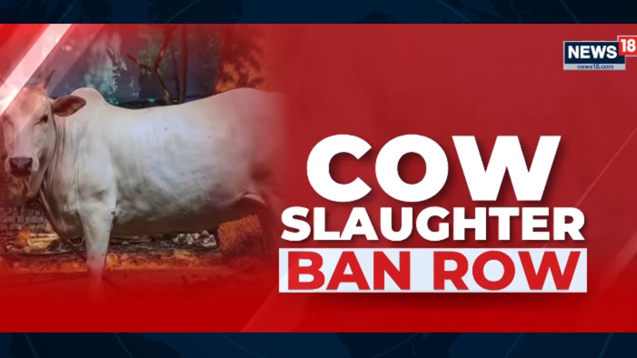 Правительство Тамилнада обжалует в Верховном суде решение Высокого суда Мадраса о запрете на забо...
