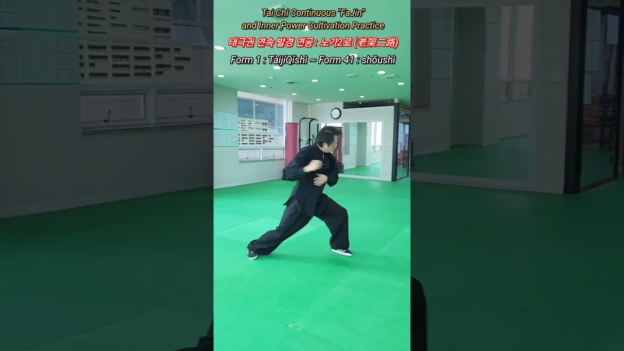Laojia Erlu (老架二路) - “Form 1 : TàijíQǐshì ~ Form 41 : shōushì
