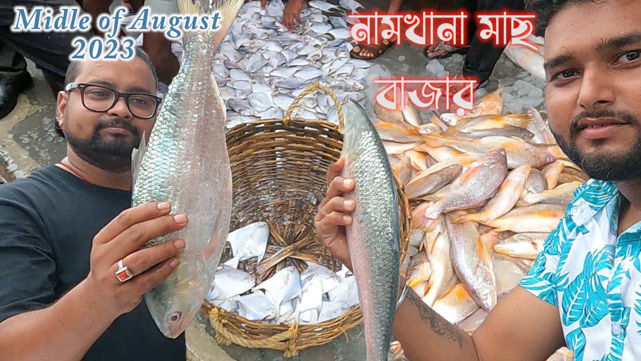Namkhana fish maekt || আগস্ট 2023 সালের নামখানা মাছের বাজারে মাছের দাম || #hilsa #ilish #fishmarket