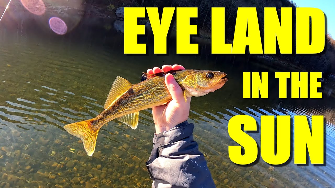 Sunny Day Walleyes on the Delaware River
