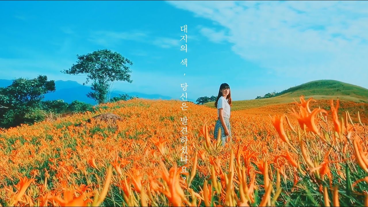 ◤台灣花旅◢ TAIWAN BLOOMING(韓文版)