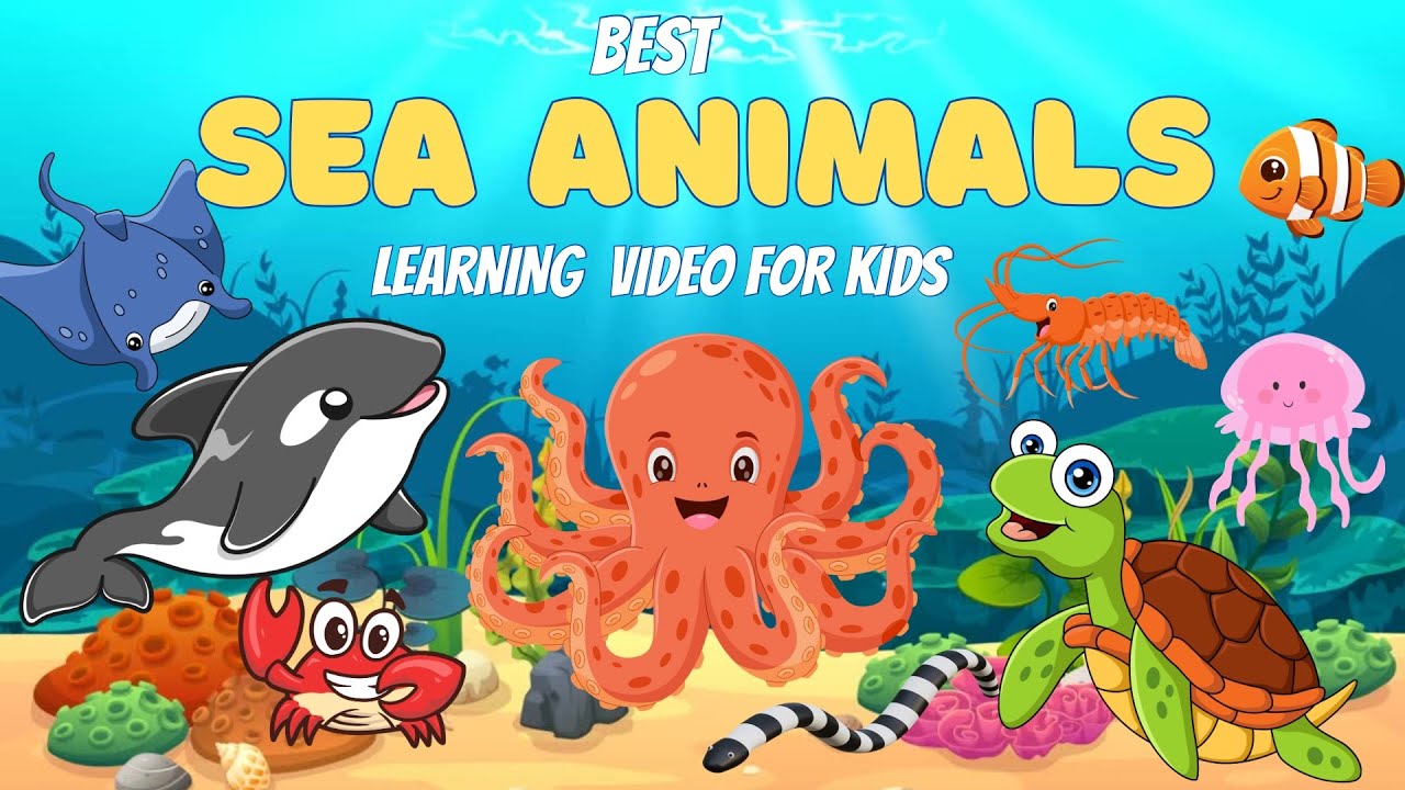 Ocean Learning Fun for Kids & Toddlers | The Coolest Sea Creatures!