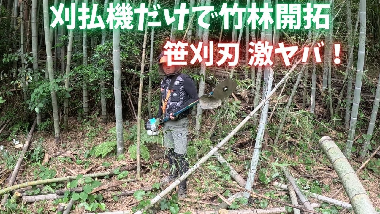 刈払機だけで竹林開拓