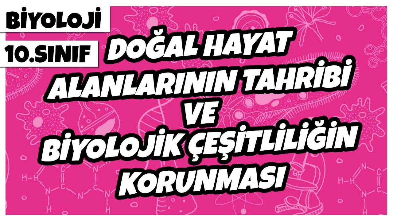 10. Sınıf Biyoloji - Doğal Hayat Alanlarının Tahribi ve Biyolojik Çeşitliliğin Korunması