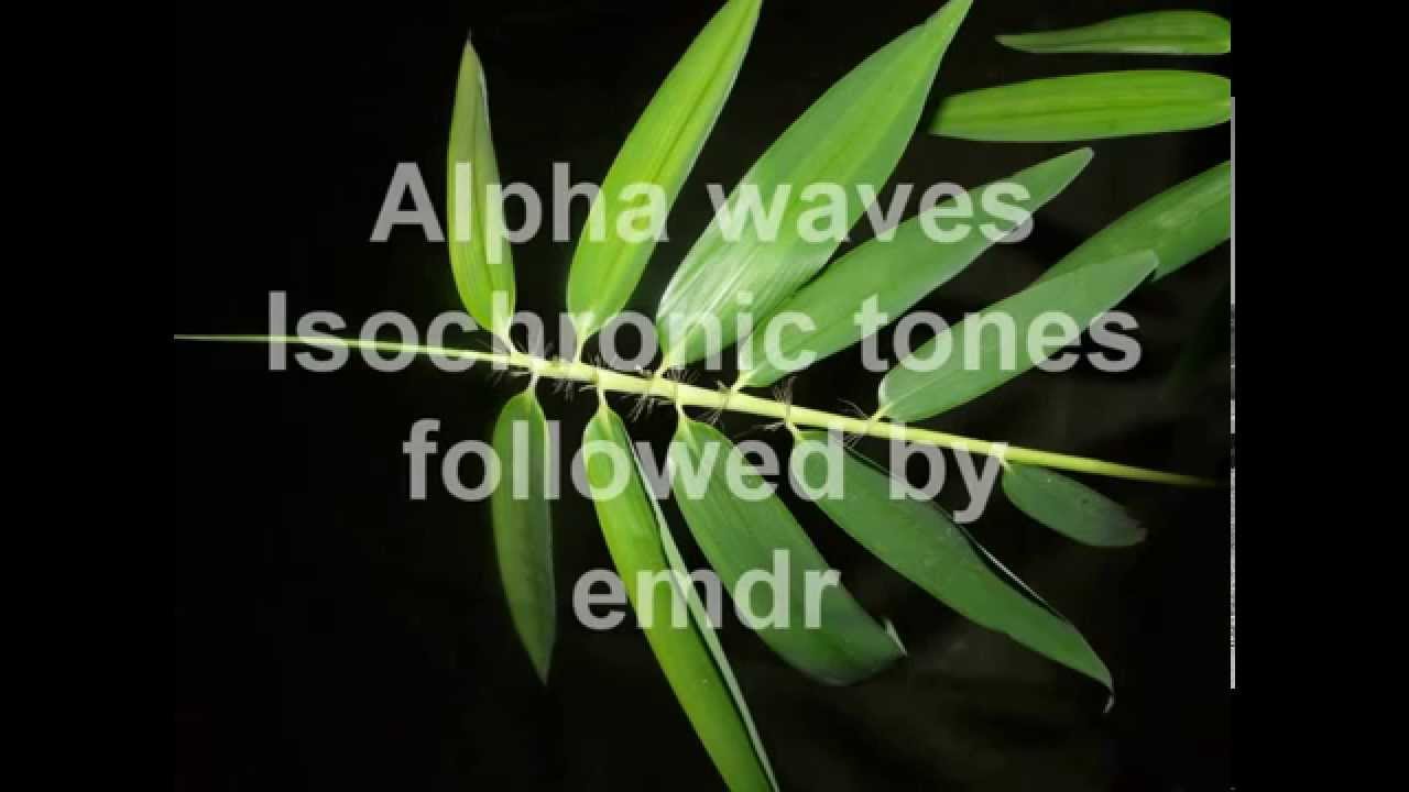 Brain Massage - Isochronic Tones Followed by EMDR