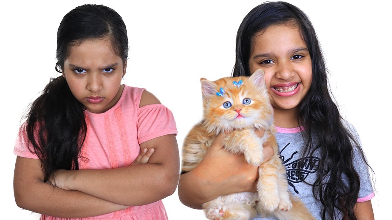 شفا و سوسو يريدوا نفس القطة !! shfa and her twin want same cat