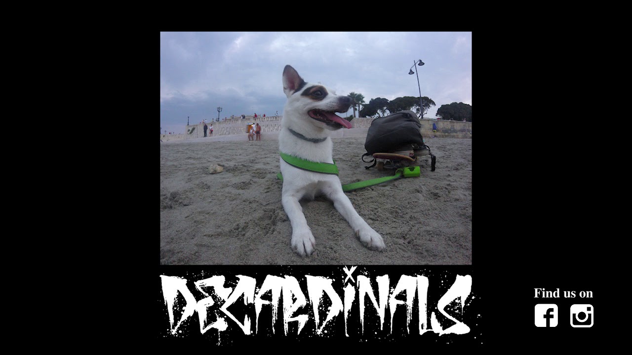 DECARDINALS - La porta