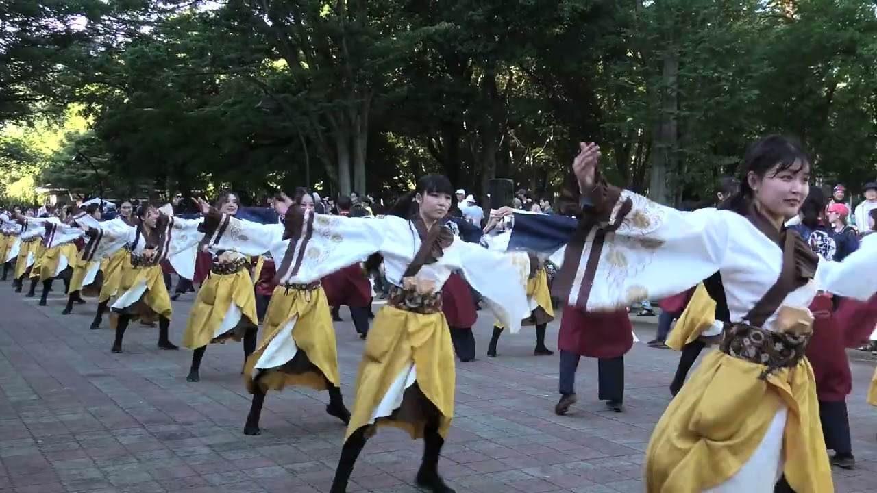 よさこい光が丘2025　２日目　早稲田大学　東京花火　けやき並木　１回目