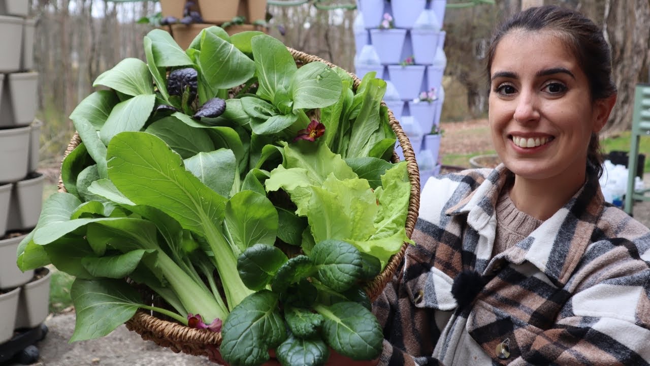 Homegrown Greens 🥬 First GreenStalk Harvest | Spring 2025