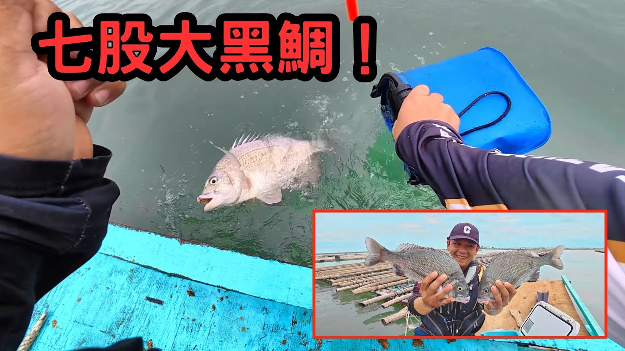 七股瀉湖三溫暖！黑牛也想上來玩這場雨值得啦｜楨咖兄弟今天要幹嘛？