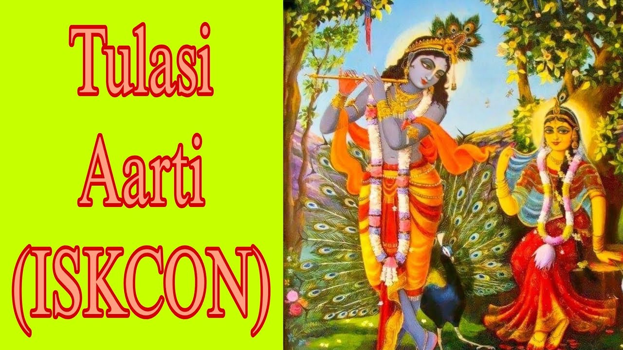 ISKCON Tulsi aarti  #tulsiaarti  #iskcon #krishnadaskavirajgoswami #harekrishna 