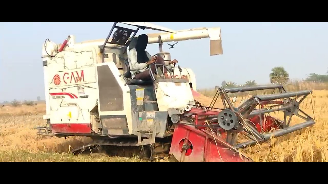 GAM Mini harvester King of the king GAM harvester 
