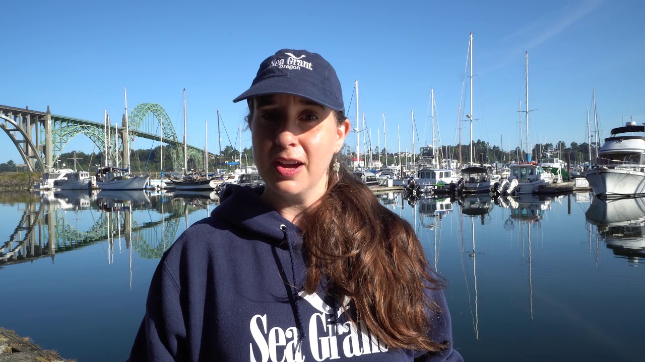 Releasing the Giant Pacific Octopus