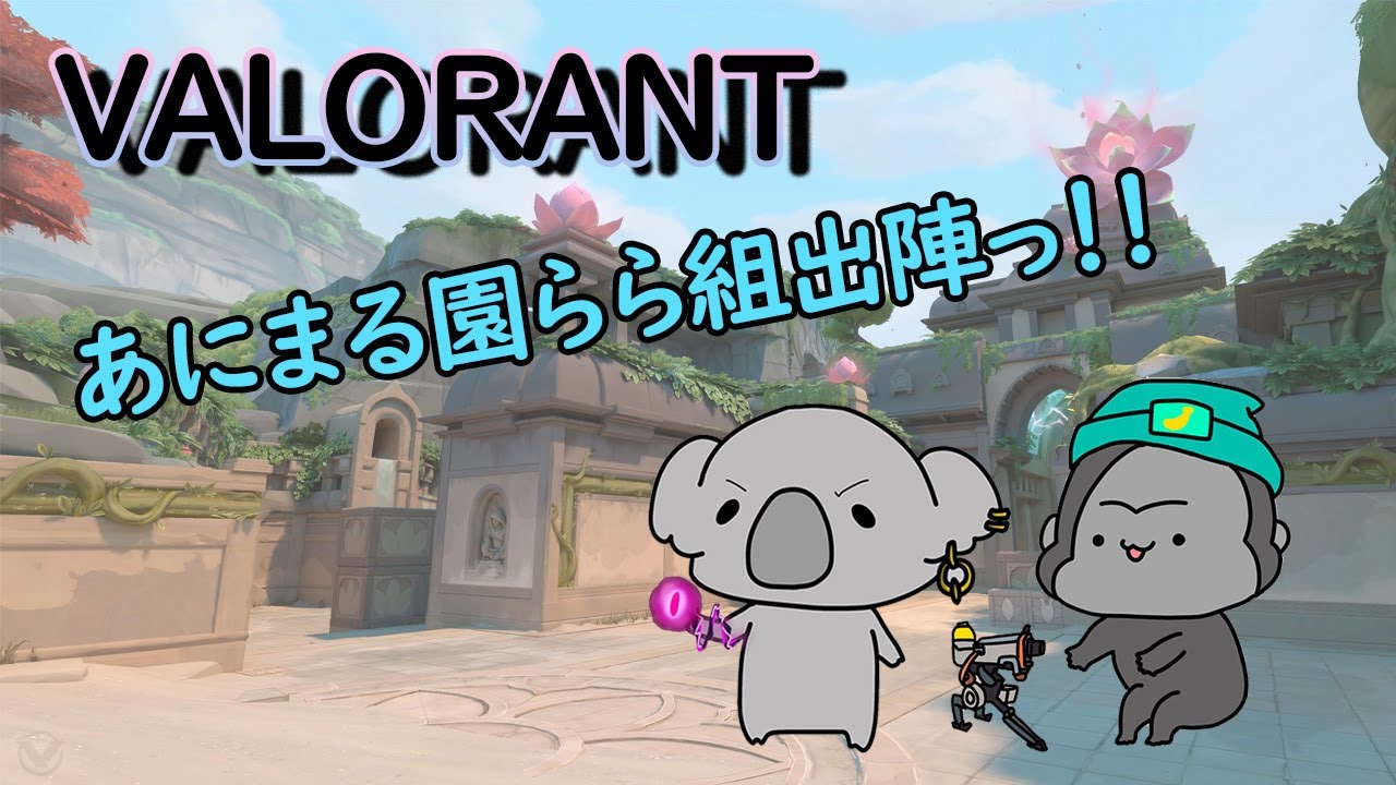 【らら組配信🐨🦍】今日は珍しいデュオコンペ！！！！