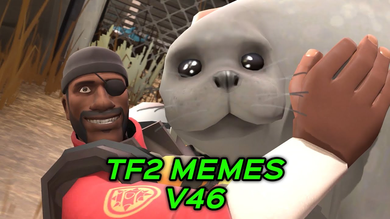 TF2 MEMES V46