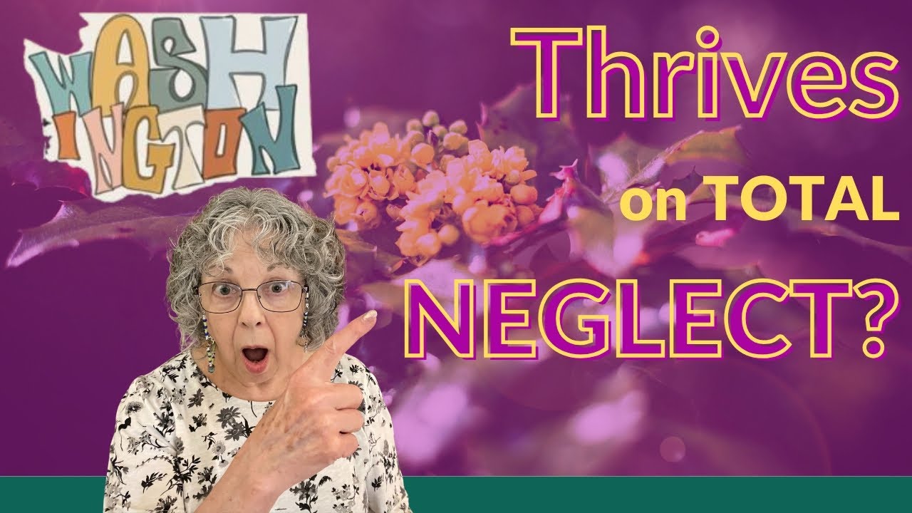 Native Flowers To Grow In Washington That Thrive On Neglect!