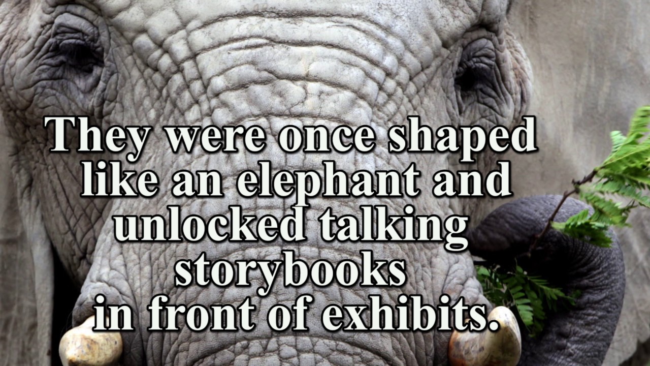 Beloved elephant-shaped ZooKeys return for Metroparks anniversary