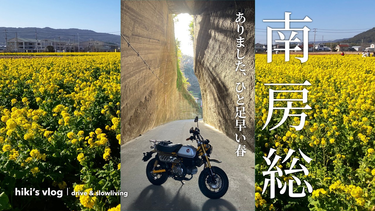 黄色い絨毯と絶景を訪ねて【菜な畑ロード／東善寺 燈籠坂大師の切通しトンネル】へ│ HONDA Monkey125