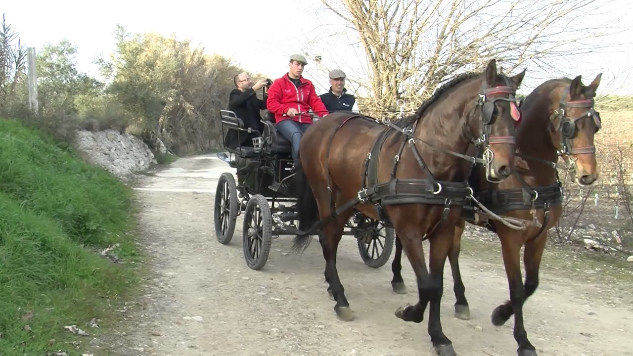 Amontíllate con: Manolo Bellido (completo)