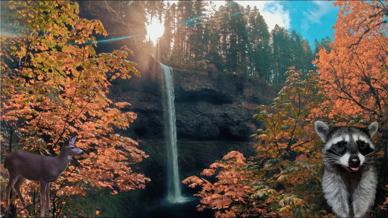 Silver Falls State Park &bull; Smith Creek Village &bull; Trail of Ten Falls &bull; Oregon Solo Camping & Hiking