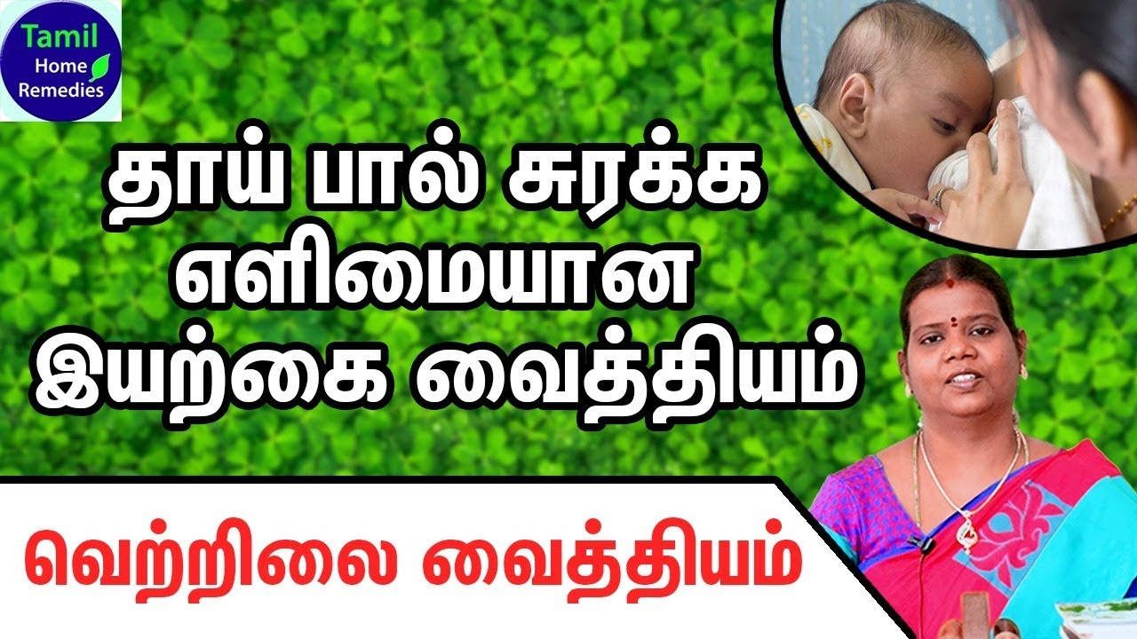 Thaipal Surakka Tips - Thaipal Surakka - Thaipaal Surakka Patti Vaithiyam - Thaipaal Athikarikka