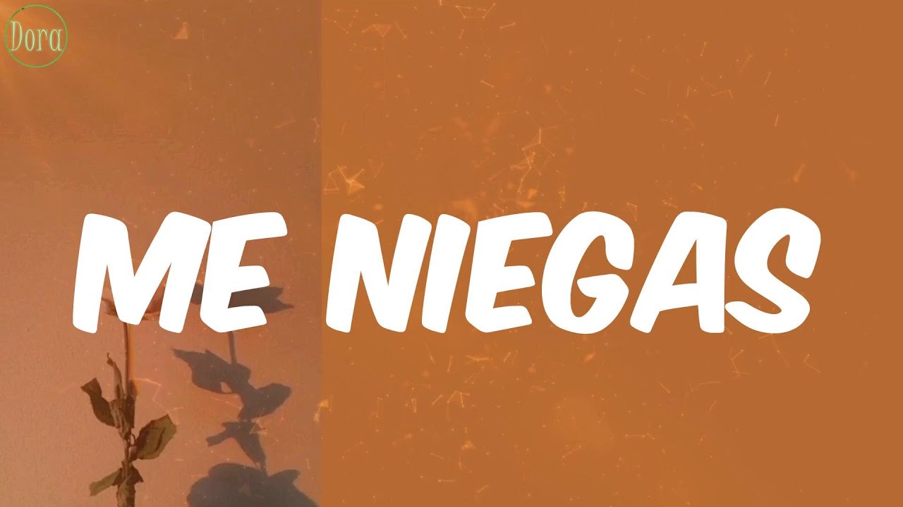 Baby Rasta & Gringo - Me Niegas (Letra)