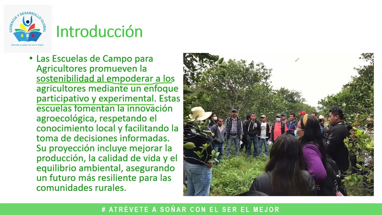 DIPLOMADO: ESCUELA DE CAMPO PARA AGRICULTORES - MODULO V
