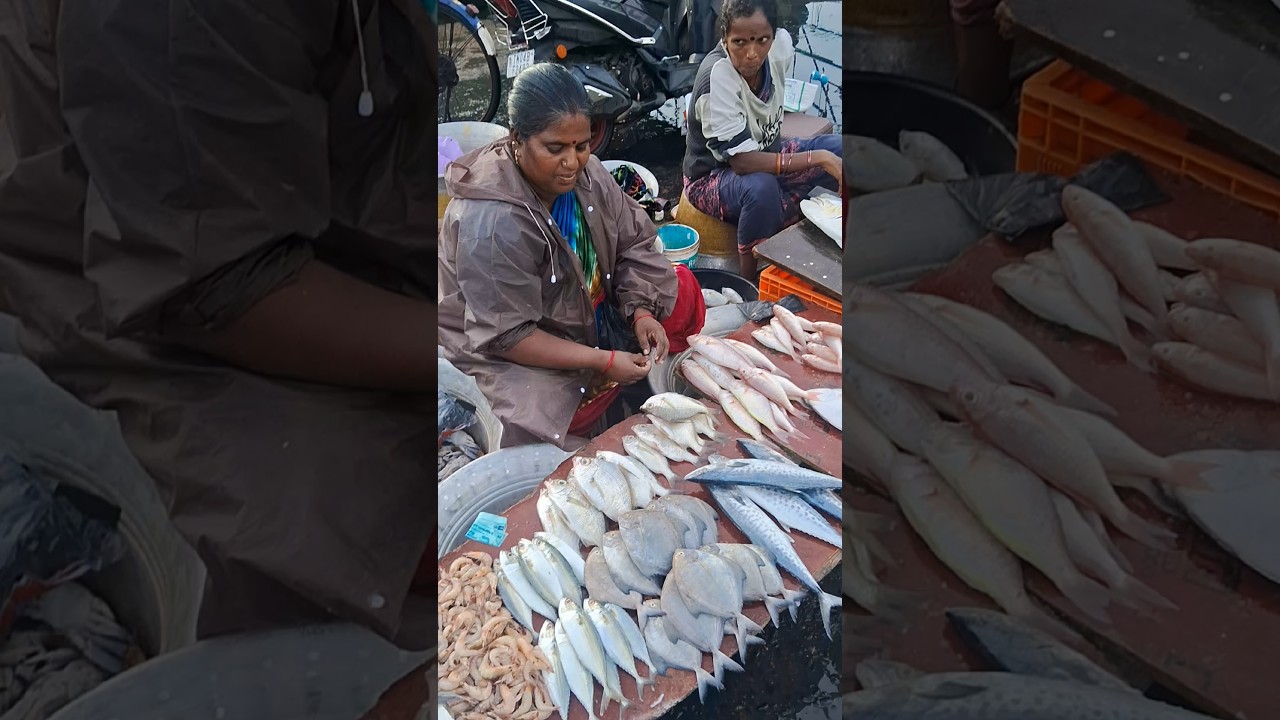 💥🐠 Chennai Kasimedu Fresh fish very low price | Kasimedu fish market #fish #shorts #trending #viral