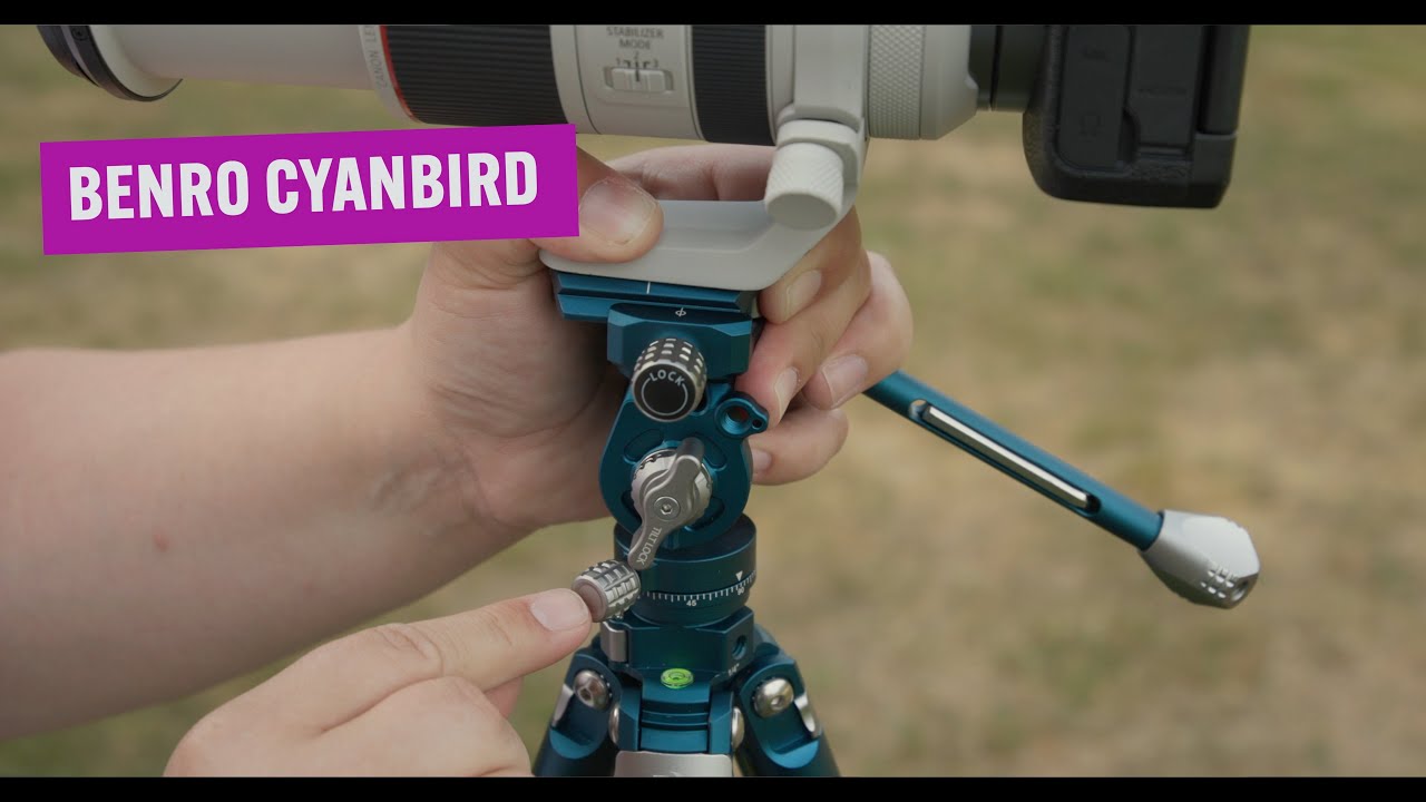 Benro Cyanbird