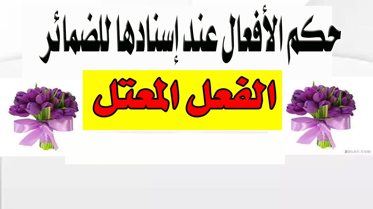 إسناد الفعل المعتل للضمائر - الدرس 15 صرف