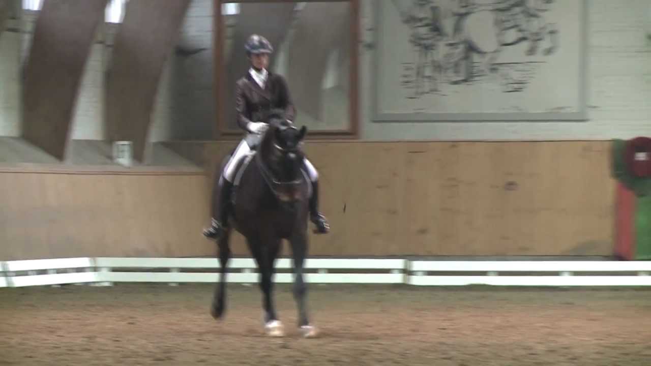 Birgit Wientzek Plaege mit dem Hengst, For Compliment