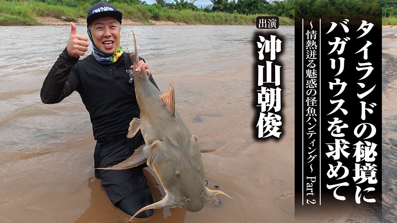 ＃701 タイランドの秘境にバガリウスを求めて～情熱迸る魅惑の怪魚ハンティング～Part 2