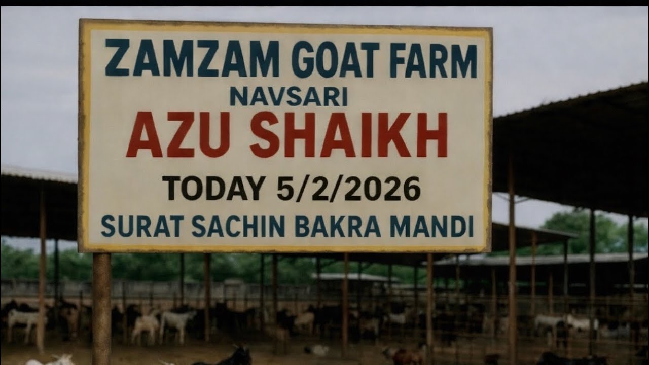 SURAT SACHIN BAKRA MANDI 5/2/2026 BY ZAMZAM GOAT FARM NAVSARI ( AZU BHAI ) ÍÍ SURAT MANDI ÍÍ 