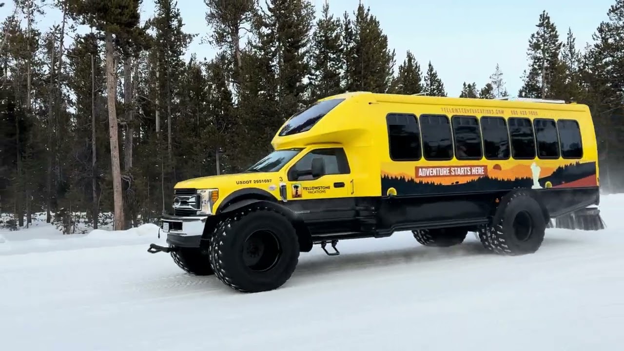 Yellowstone NP Snowmobiling and Safari