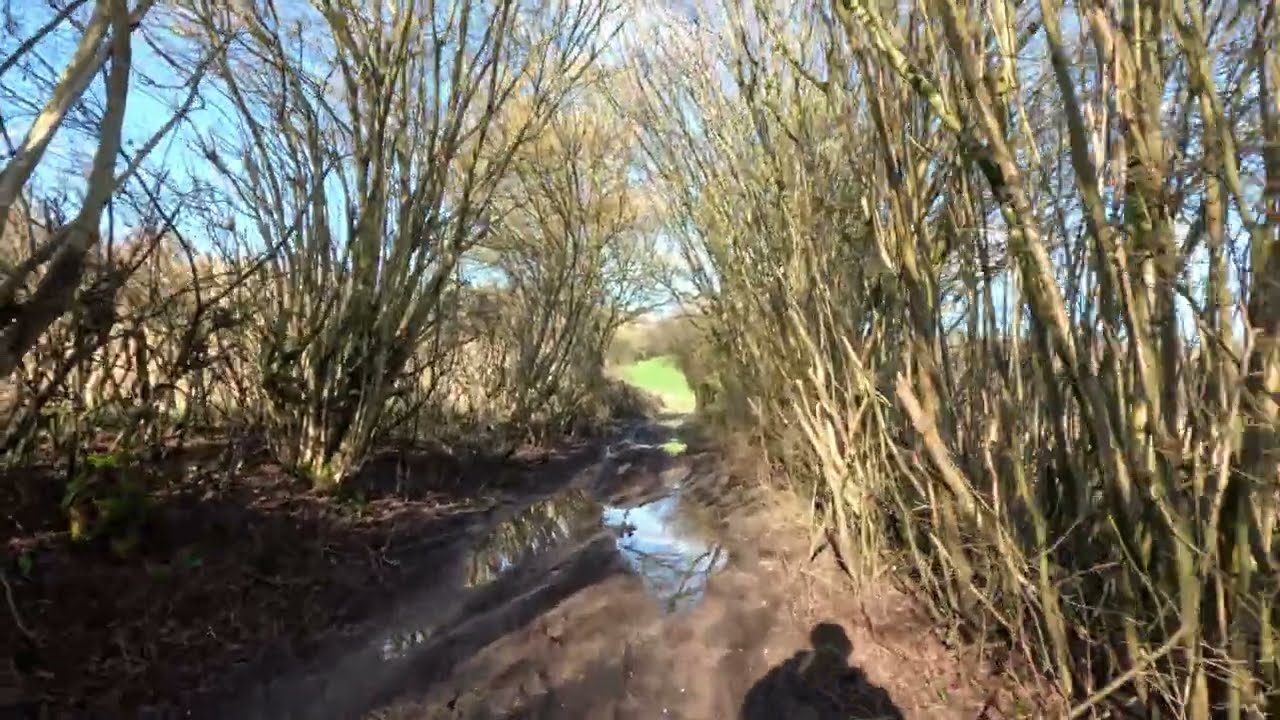 A Quiet Walk Along Country Paths