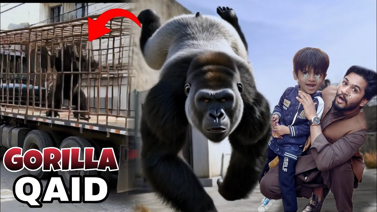 Gorilla Ghar aa Gaya🦍🤯 | Attach On Me😱 | Haider Family 